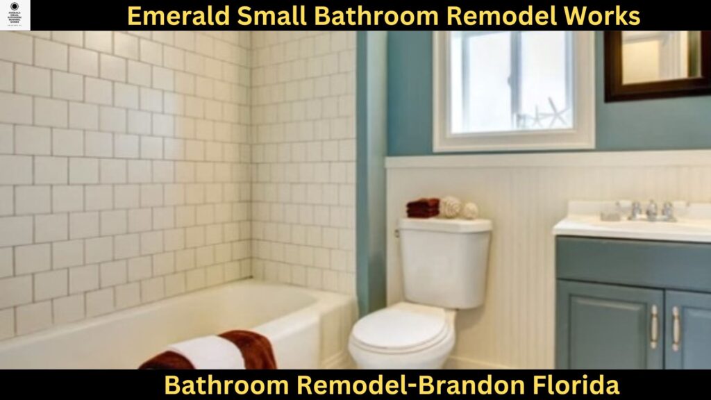 Bathroom Remodel in Brandon Florida