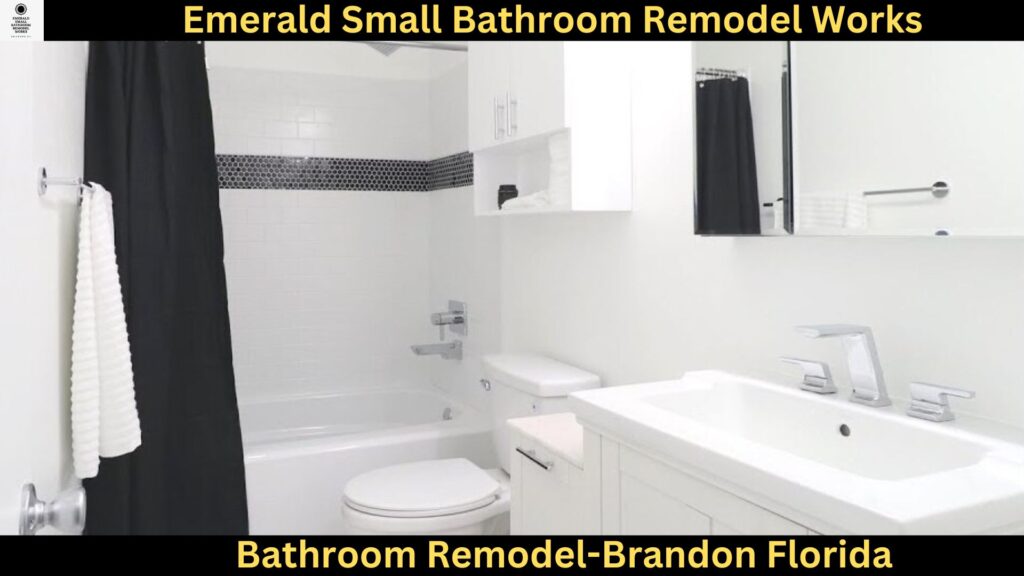 Bathroom Remodel in Brandon Florida