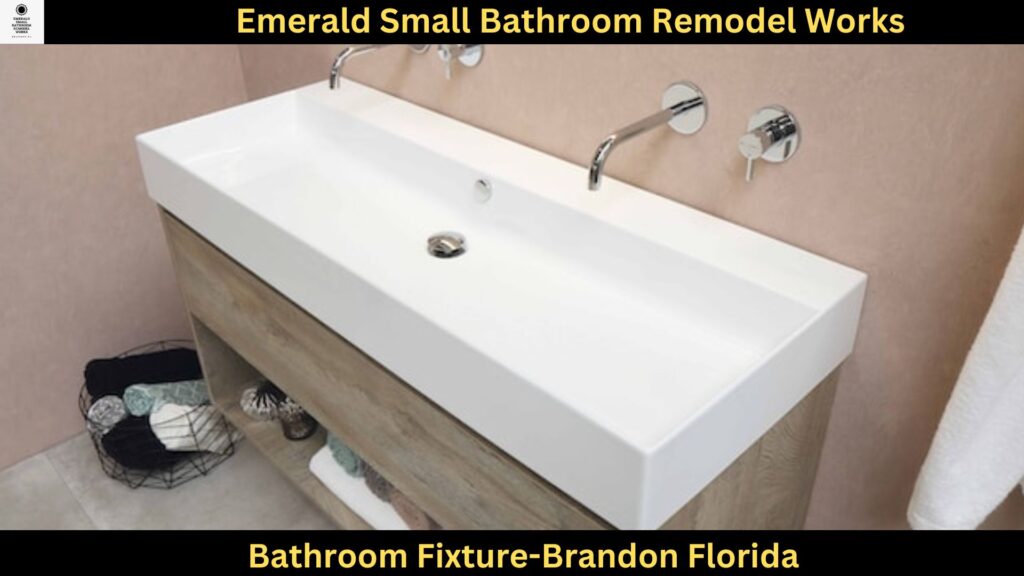 Bathroom Fixture in Brandon Florida